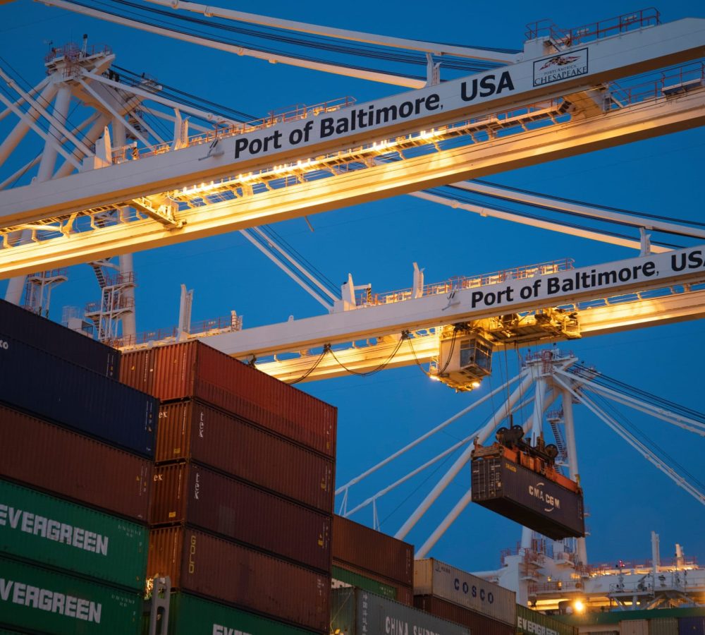 pexels-david-dibert-1117211