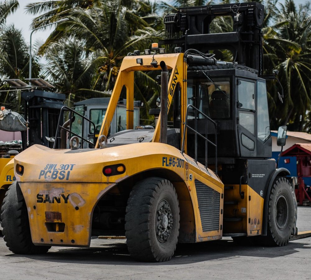 pexels-denniz-futalan-2523921